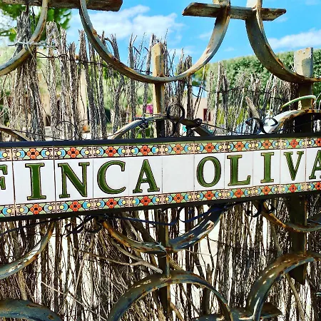 Holiday home Finca Oliva - A45428